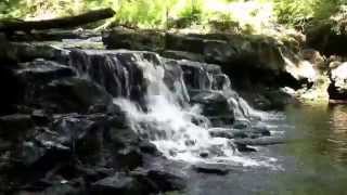 preview picture of video 'Adventure #2 Ricketts Glen State Park'