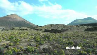 SPAIN La Geria, Lanzarote (hd-video)