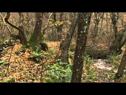 Doğada Tek Başına - Dağ Evi 3. Bölüm (22.02.2012)