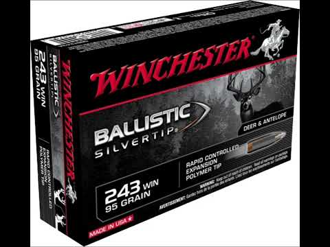 Winchester Ballistic Silvertip 243 Review