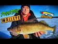 Video Thumbnail for Insane Prime Time Walleye Bite on Last Mountain Lake Ice Fishing