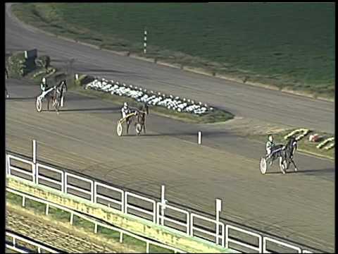 Trotto 12/02/2016 - prova di qualifica