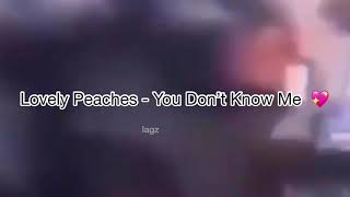 Lovely Peaches - You Don’t Know Me (lyrics)