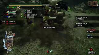 【PS版モンハンライズ】一からハンター生活！！