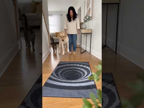 Who's the Smartest Pet? 🏆 The Cat Who Doesn't Believe the Fake Abyss vs  the Terrified Dog!