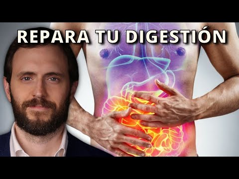 Cómo Reparar tu Digestión y tus Intestinos Paso a Paso