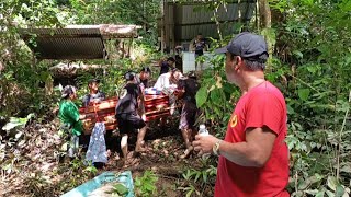 Download lagu PAGI 17 ARI BULAN NIANG TU MUPUK BEKEJANG NINGGGAL KE SEMUA URANG LEBIH AGI SIDA YA SEBILIK 😢😭🙏🙏 mp3 Download lagu PAGI 17 ARI BULAN NIANG TU MUPUK BEKEJANG NINGGGAL KE SEMUA URANG LEBIH AGI SIDA YA SEBILIK 😢😭🙏🙏 mp3