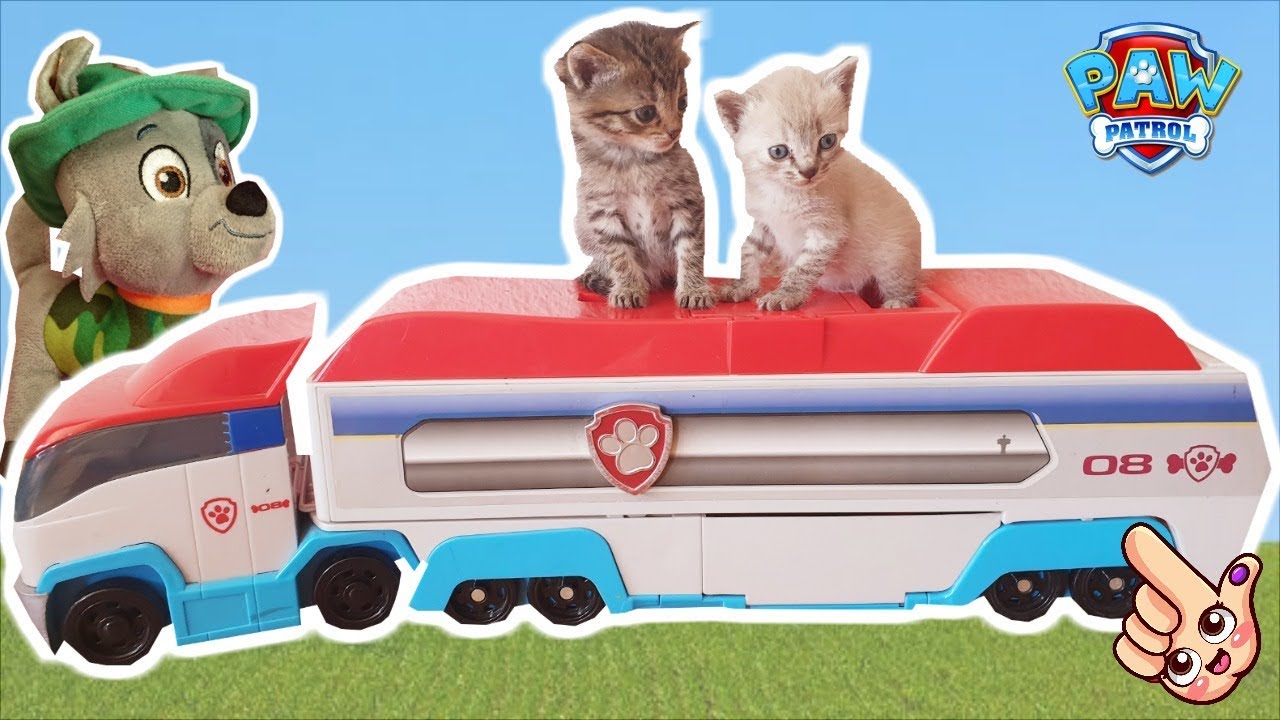 GATITOS BEBÉS JUEGAN en el CAMIÓN de la Patrulla Canina!