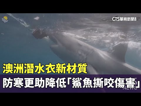 澳洲潛水衣新材質　防寒更助降低「鯊魚撕咬傷害」