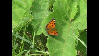 Село Нащёкино Бондарского района Тамбовской области