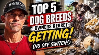 Top 5 Dog Breeds Owners Regret Getting