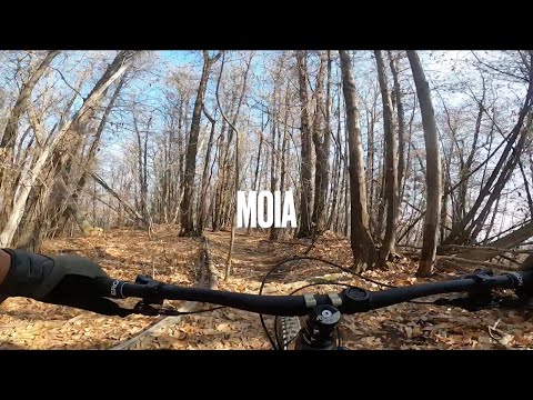 Moia - Riverosse MTB Enduro - Roasio (VC)