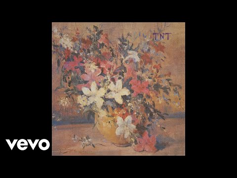 TNT - Febem (Pseudo Video)