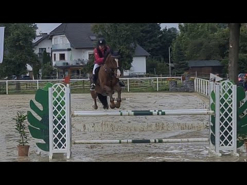 Malu (12) und Zappa - 3. Platz im L in Niederneisen am 29.08.2021