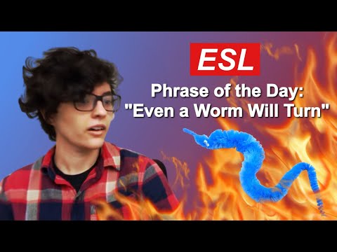 ESL Phrase of the Day: "Even a Worm Will Turn."