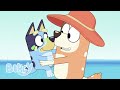 Bluey S Beach Bravery The Beach Bluey