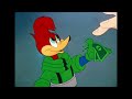 Woody Woodpecker Cameos From Cartoons And Movies