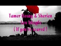 Tamer Hosny & Sherien - (English Subs) Law ...