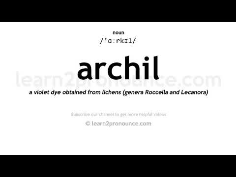Pronunciation of Archil | Definition of Archil
