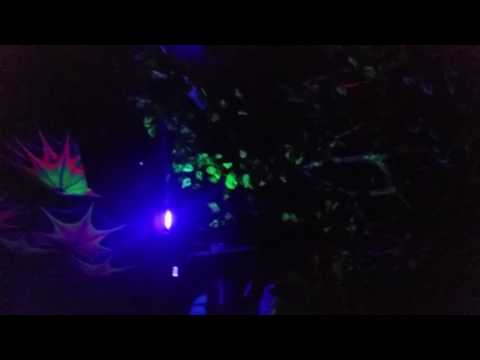 Powrót do Źródła vol 13 @ Projekt LAB - Poznań