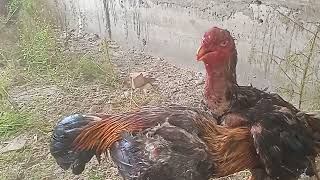 Download lagu 15 августа 2022 г. mp3 Download lagu 15 августа 2022 г. mp3