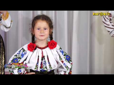 Daria Negruseri   Badea i ciobanas la munte