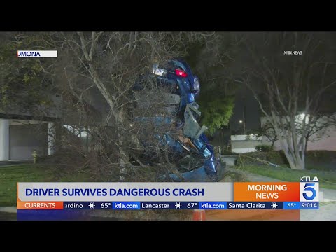 Car ends up wedged against tree in Pomona
