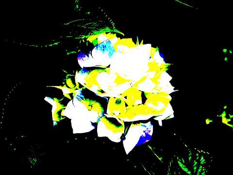 Colione ft Wurkboy - (Rollin L's Up) Video   Dir By. KapoMobbFilms