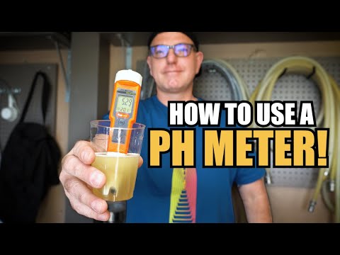How to Use a PH METER for BEER BREWING | KegLand pH Meter Tutorial | MoreBeer!