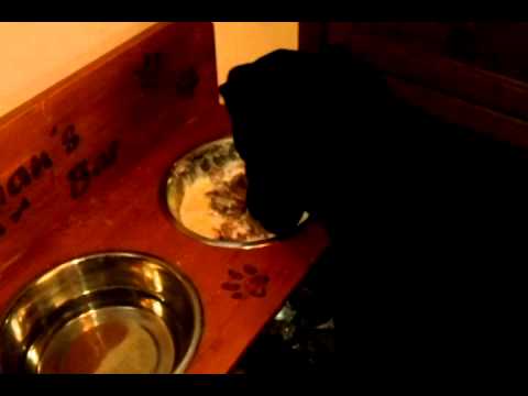 Happy Birthday, Damian!