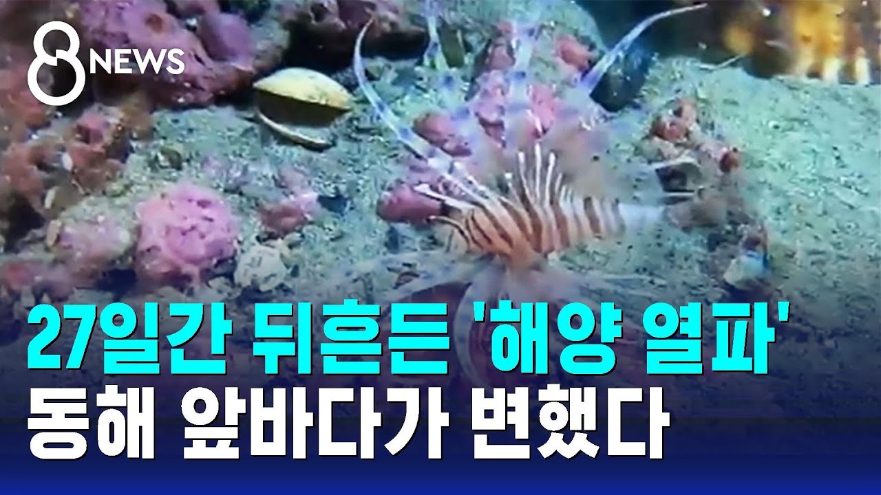 27일간 뒤흔든 '해양 열파'…동해 앞바다가 변해버렸다