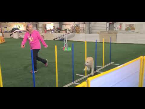 Cozette/Claudia 2.14.2024