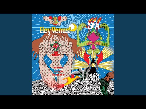 Let the Wolves Howl at the Moon - Super Furry Animals