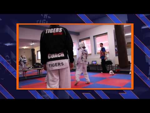 Taekwondo Tigers Berlin YouTube-Vdeominiatur 4