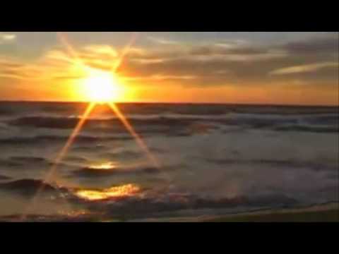 Olli Vincent-In Un abbraccio