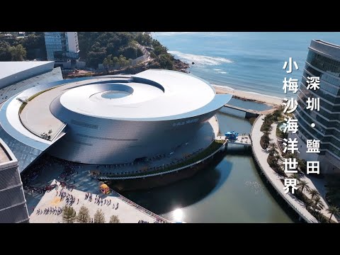 【漫遊 9＋2】小梅沙海洋世界