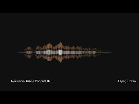 Reclusive Tunes Podcast 020 - FLYING COBRA • Ambient •