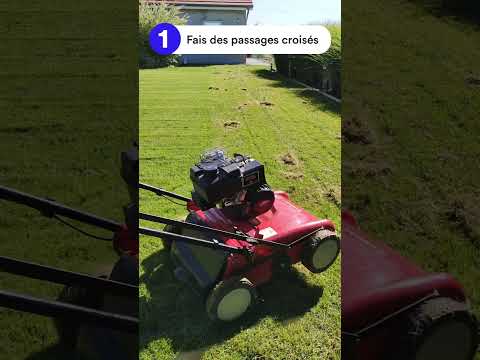 Comment scarifier sa pelouse ? Le tuto des experts Bleen.