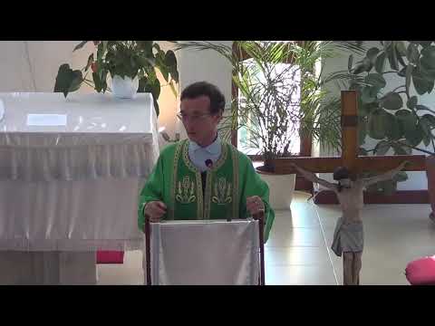 Obiecții față de veridicitatea Bibliei