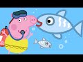 Peppa Pig Português Brasil Dia Mundial Do Oceano HD Desenhos Animados