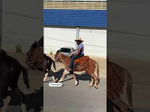 13º Dia | Paraisópolis - MG a CantaGalo - São Bento - MG! #fyp #horse #burros #brasil #agro