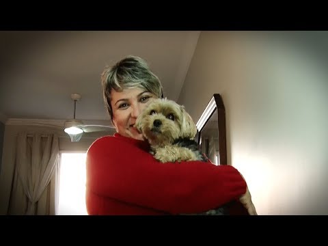 Parceria mantém nos animais título de melhores amigos do homem