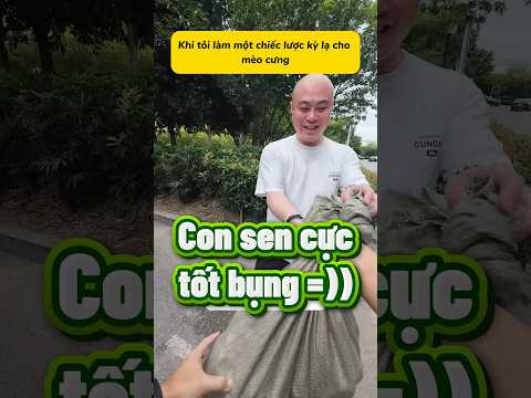 Boss kiểu: Mầy làm như vậy mà sen được à tuất sen