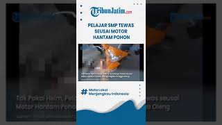 Download lagu #shorts TAK BERHELM PELAJAR SMP TEWAS, Usai Hantam Pohon di Jalan Pasar Kembang Surabaya mp3 Download lagu #shorts TAK BERHELM PELAJAR SMP TEWAS, Usai Hantam Pohon di Jalan Pasar Kembang Surabaya mp3