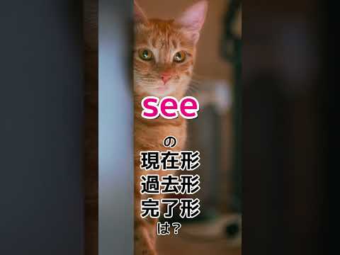 seeの現在、過去、完了形は？