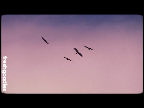 HBeat & rogerpin - buriti