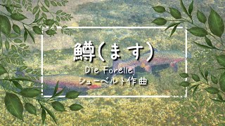 Download lagu シューベルト歌曲 鱒 Die Forelle【ドイツリート/字幕で聴く歌曲】 mp3 Download lagu シューベルト歌曲 鱒 Die Forelle【ドイツリート/字幕で聴く歌曲】 mp3