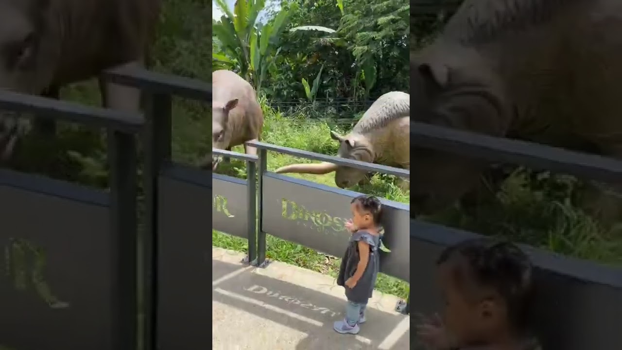 YouTube Short thumbnail