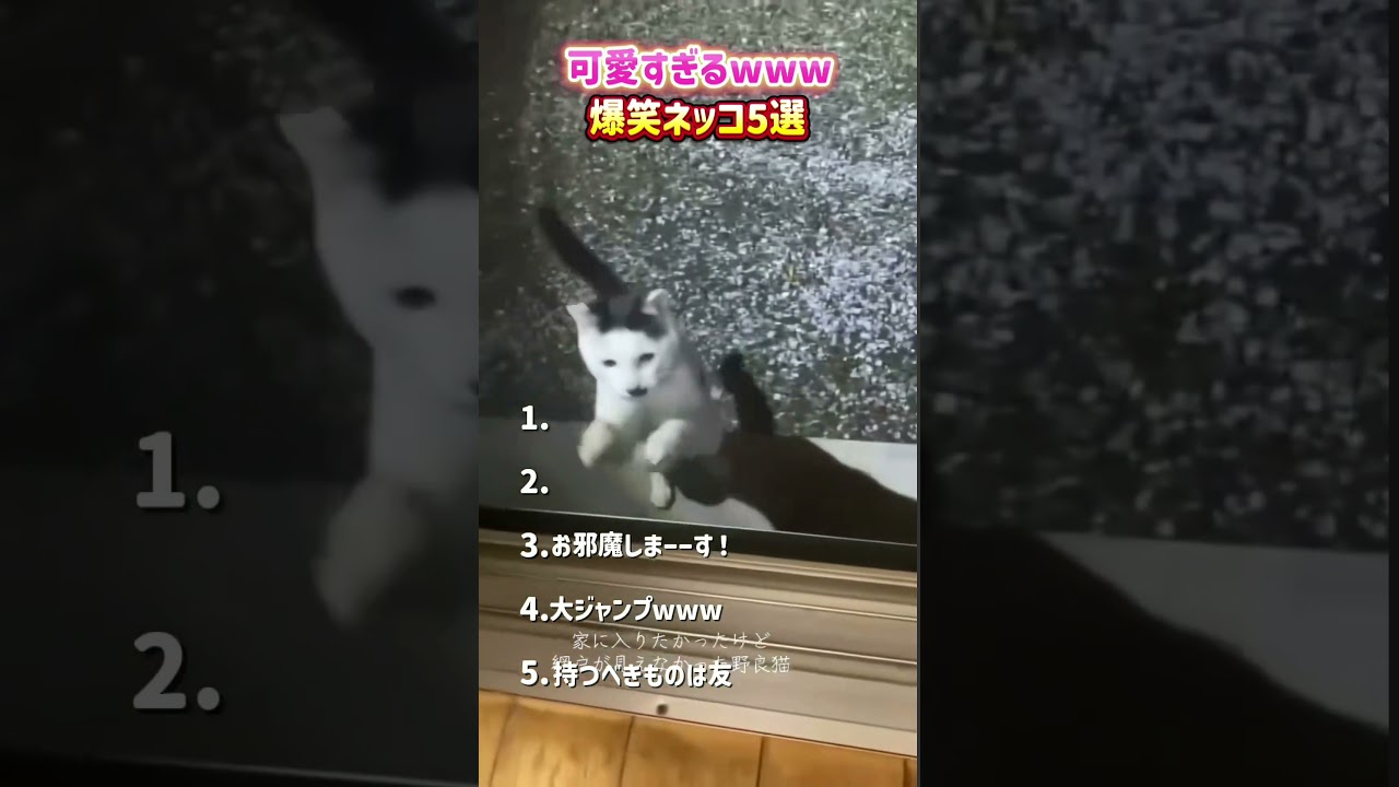 YouTubeサムネイル