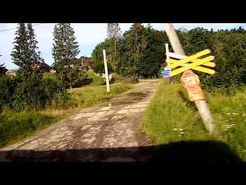 Linia 513 Dărmănești-Cacica în Paltinoasa 26.06.2021